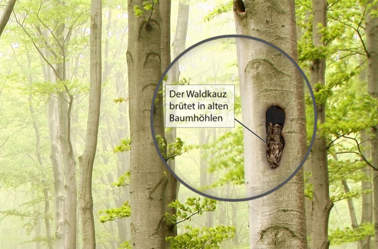 Findest du alle Hinweise?